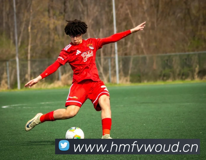 j9国际站官网入口平台生态图